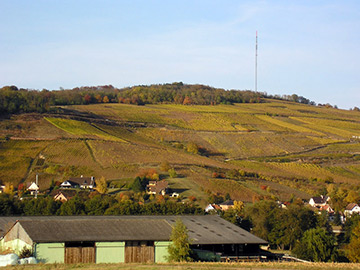 Le steinklotz aux couleurs d'automne